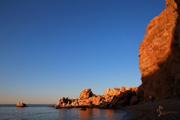 456A1155.jpg