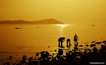 赶海.jpg