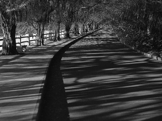 L_000415-2.jpg