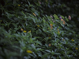 L_000420-2.jpg