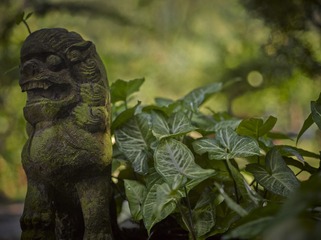 L_000339.jpg
