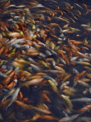 L_000315 -21.jpg