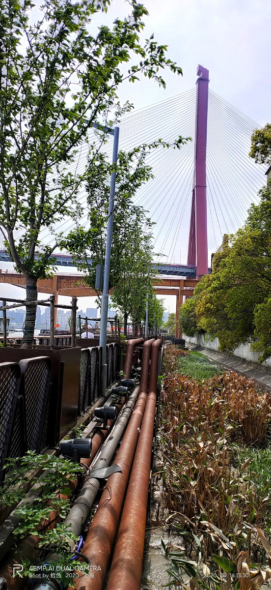 上海杨树浦路原来是上海的工业区域现在正在改建为各上海北外滩滨江