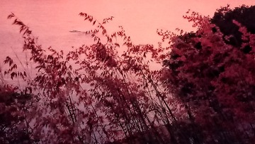 1207796