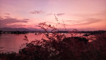 1207798