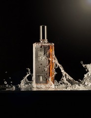 508664