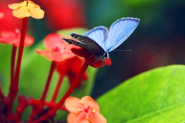 _MG_3725.jpg