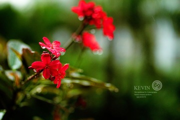 IMG_0201.JPG