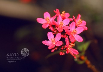 IMG_0205.JPG