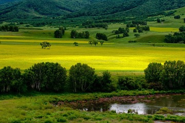 _DSC0327-3.jpg