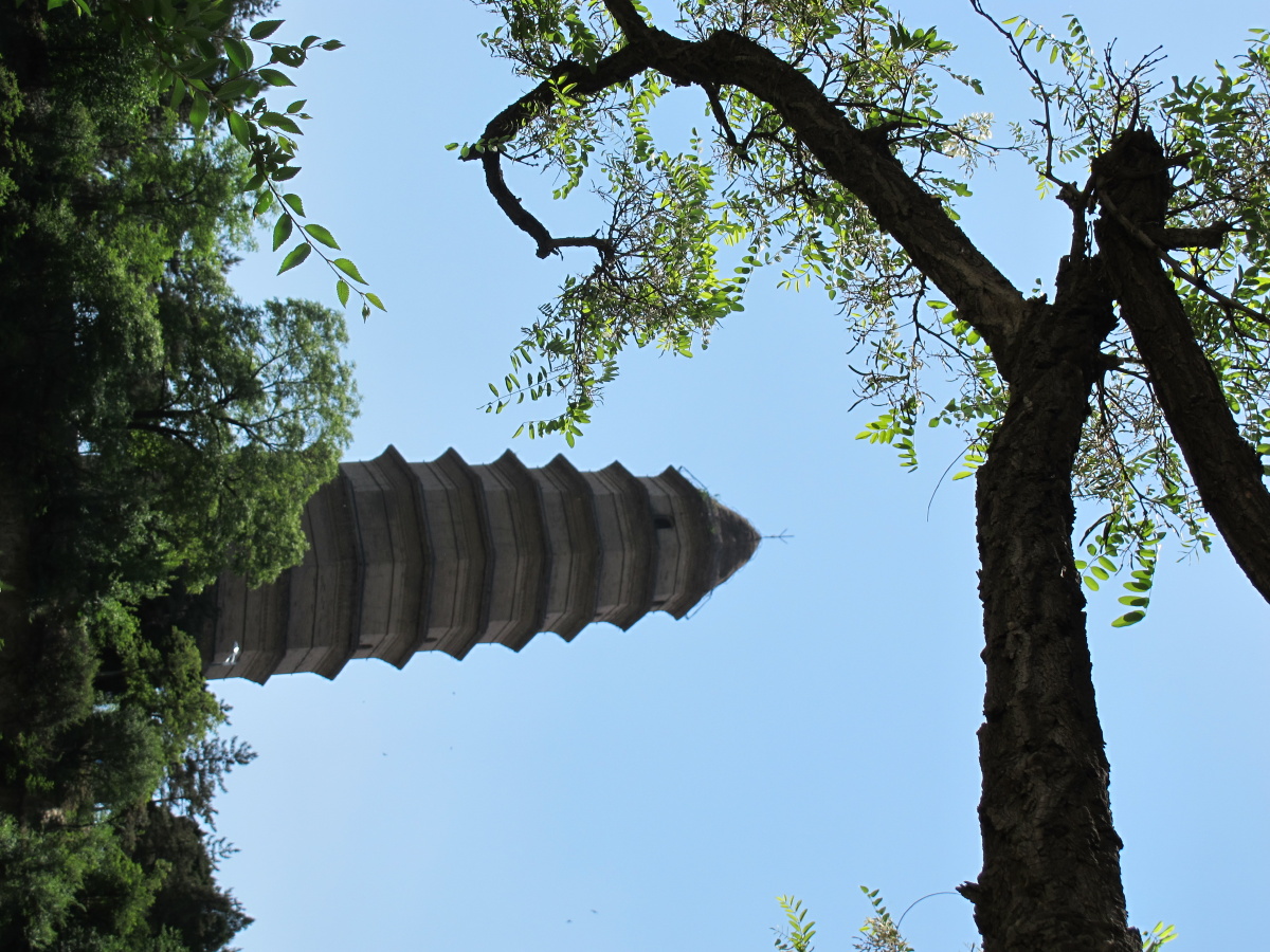 延安·宝塔山 - 大虞国扛把子 - 图虫