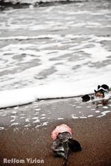 DSC_2984-2.jpg
