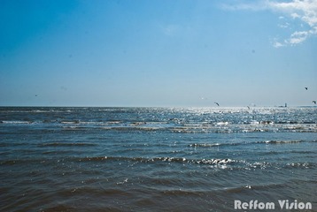 DSC_3143-2.jpg