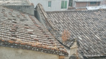 4893263
