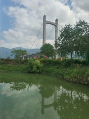 4901455