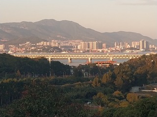 4935041