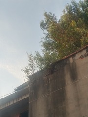 4879164