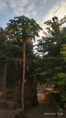 4893262