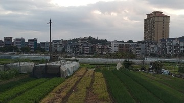 5055479