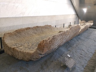 5100796