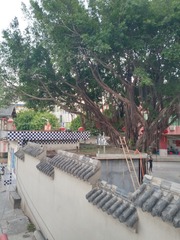 4893064