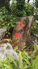 5036873