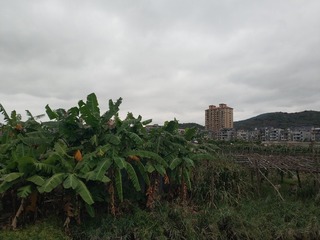 4934262
