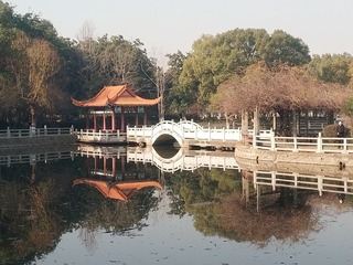 4968729