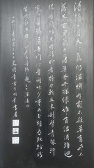 5004739