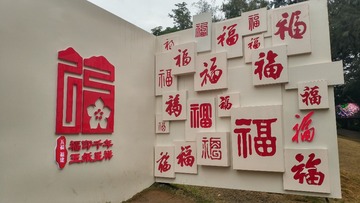 5036761