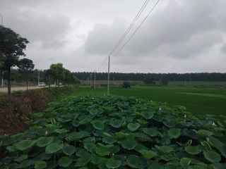 140377