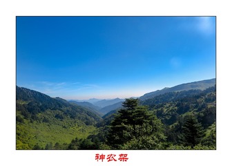 140559