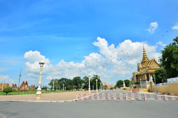 DSC_6423.jpg