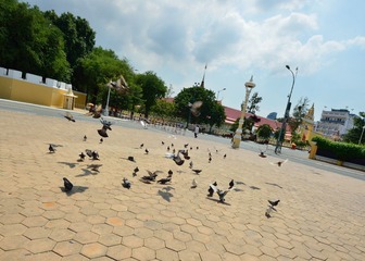 DSC_6425_195.jpg