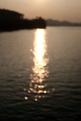 DSC_2183-1