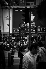 DSC_1993-1