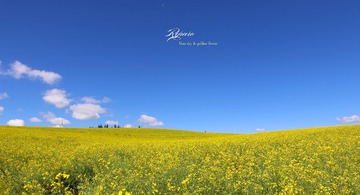 IMG_7979.jpg