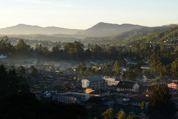DSC_1587.JPG