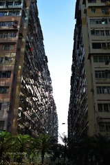 DSC_5394-恢复的.jpg