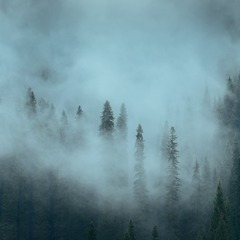 山林迷雾