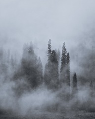 雾锁山林