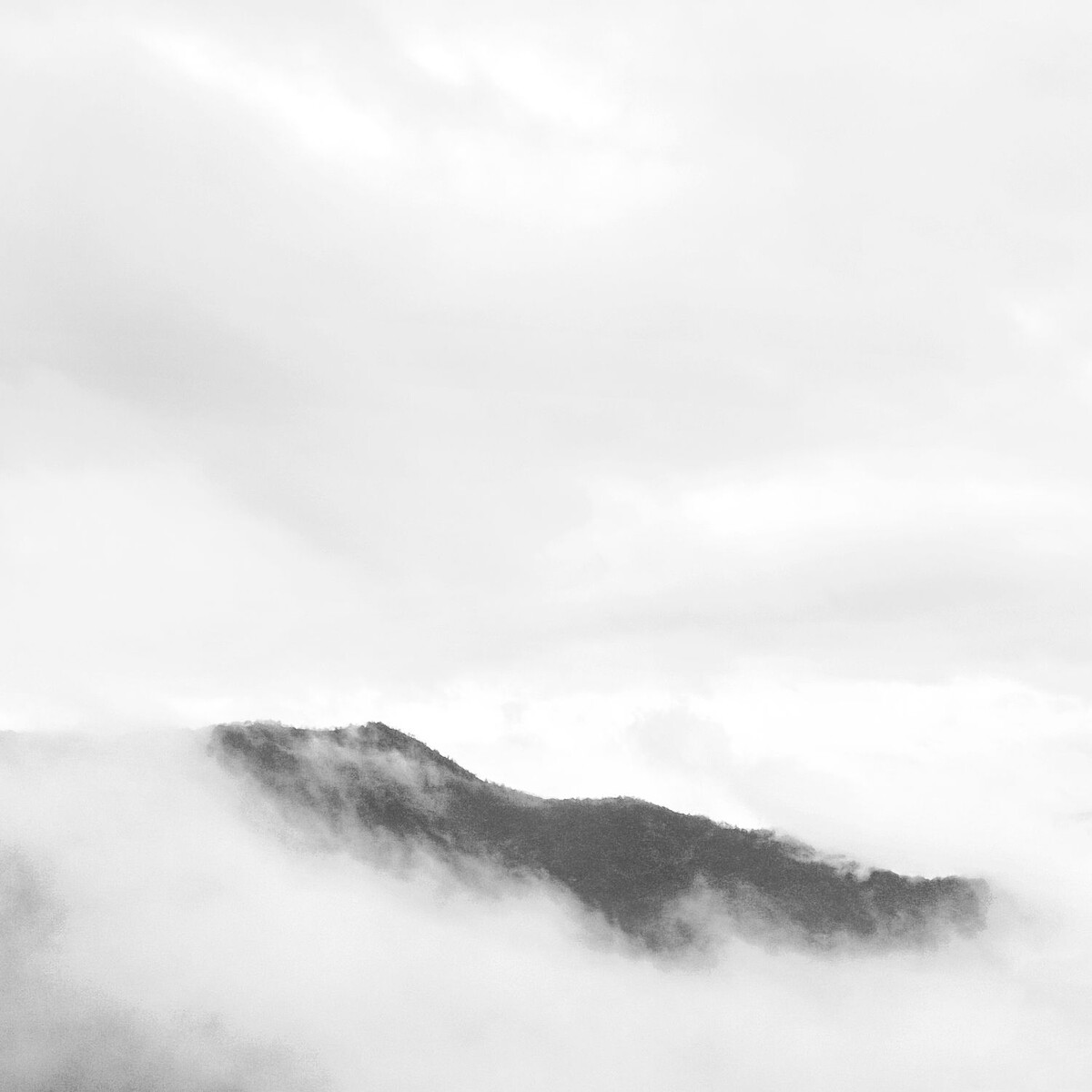 云雾山