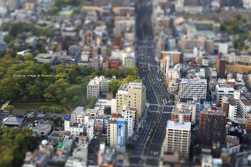 微观城市