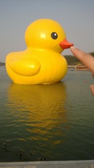 94226
