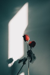 39B07891-370C-4811-B0BB-1AAC16F5A710/L0/001