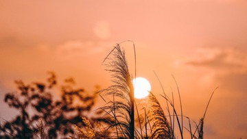F7C6784E-6FF4-4948-BE25-4D893F37AE1A/L0/001