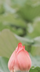 1D89FCF7-1A32-49CF-836E-70B5F6C488F2/L0/001