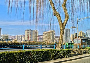 DSC08178_副本_副本_副本