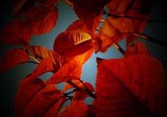 PICT0017_副本_副本