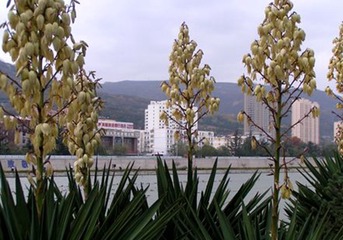 PICT0015_副本_副本